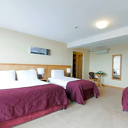 Upton Court Homes Wexford